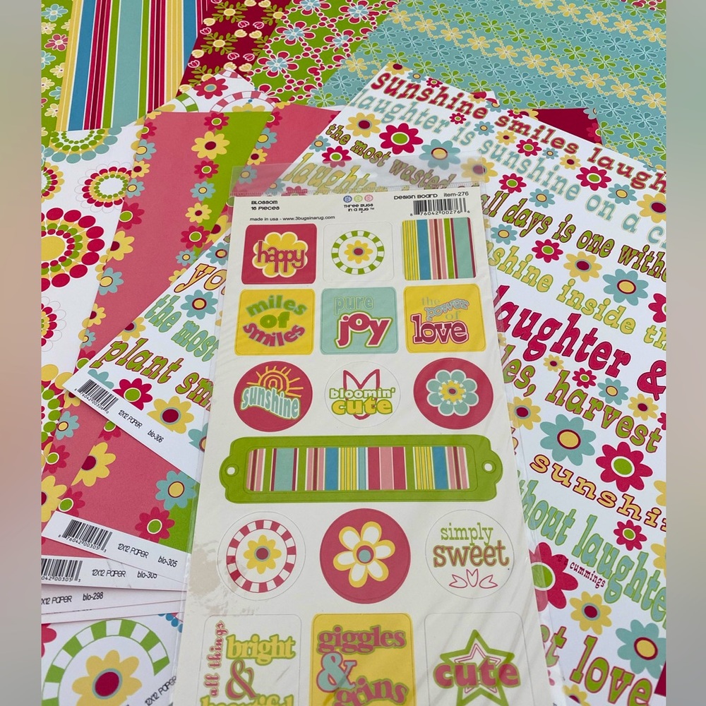 🌺 THREE BUGS IN A RUG “BLOSSOM” DESIGN BOARD & SCRAPBOOK PAPER BUNDLE. RETIRED